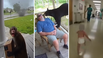 Why your social media feeds are being overrun by AI videos